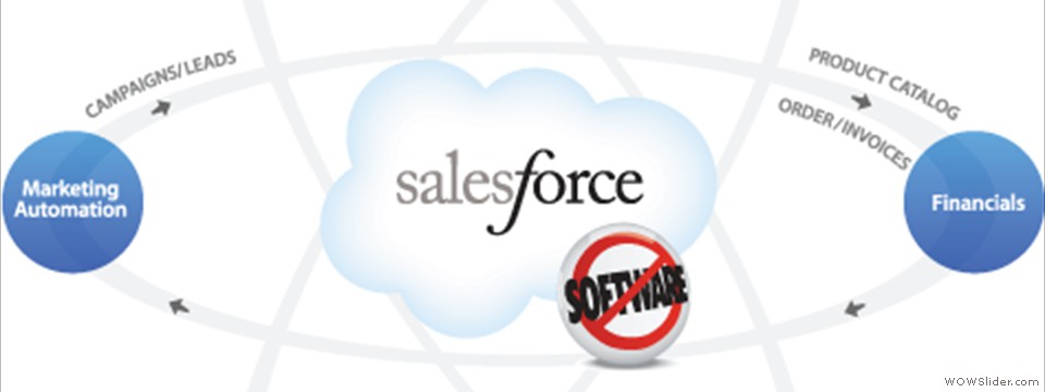 application_graphic_salesfo